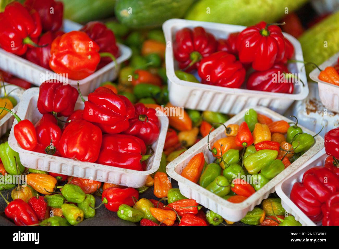 Овощи в вакуумной упаковке. Заморозить перец болгарский на зиму. Перец. Хранение сладкого перца. Boese, 2002 для уборки перца.
