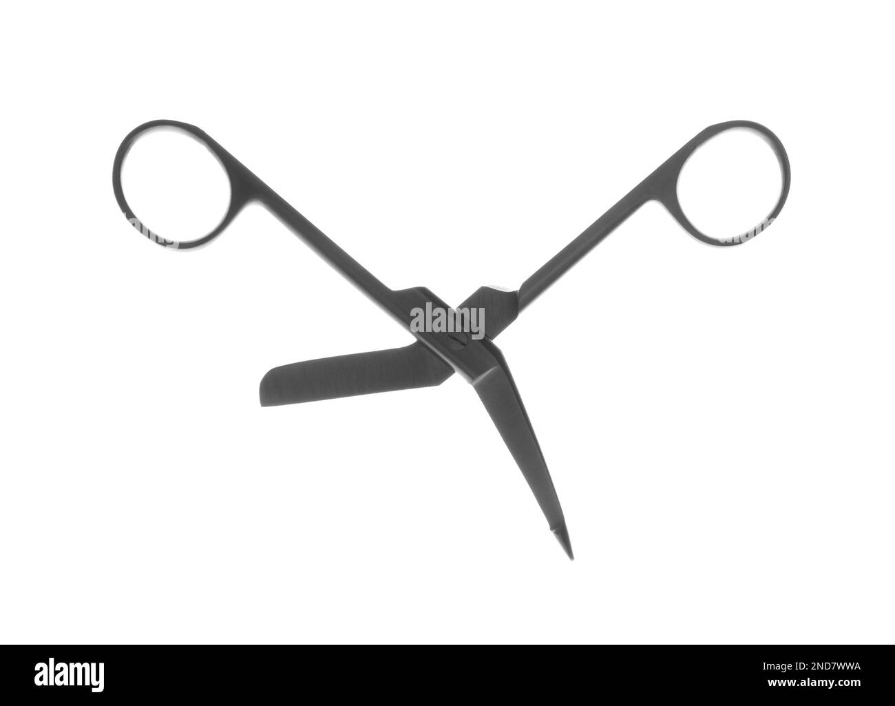 Surgical scissors on white background. Medical instrument Stock Photo