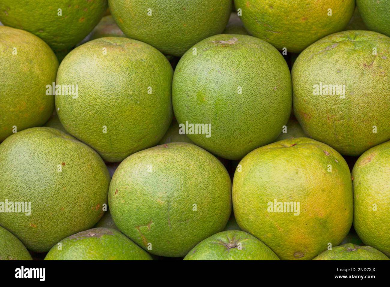 Closeup on a stack of Pomelos for sale on a market's stall Stock Photo Alamy