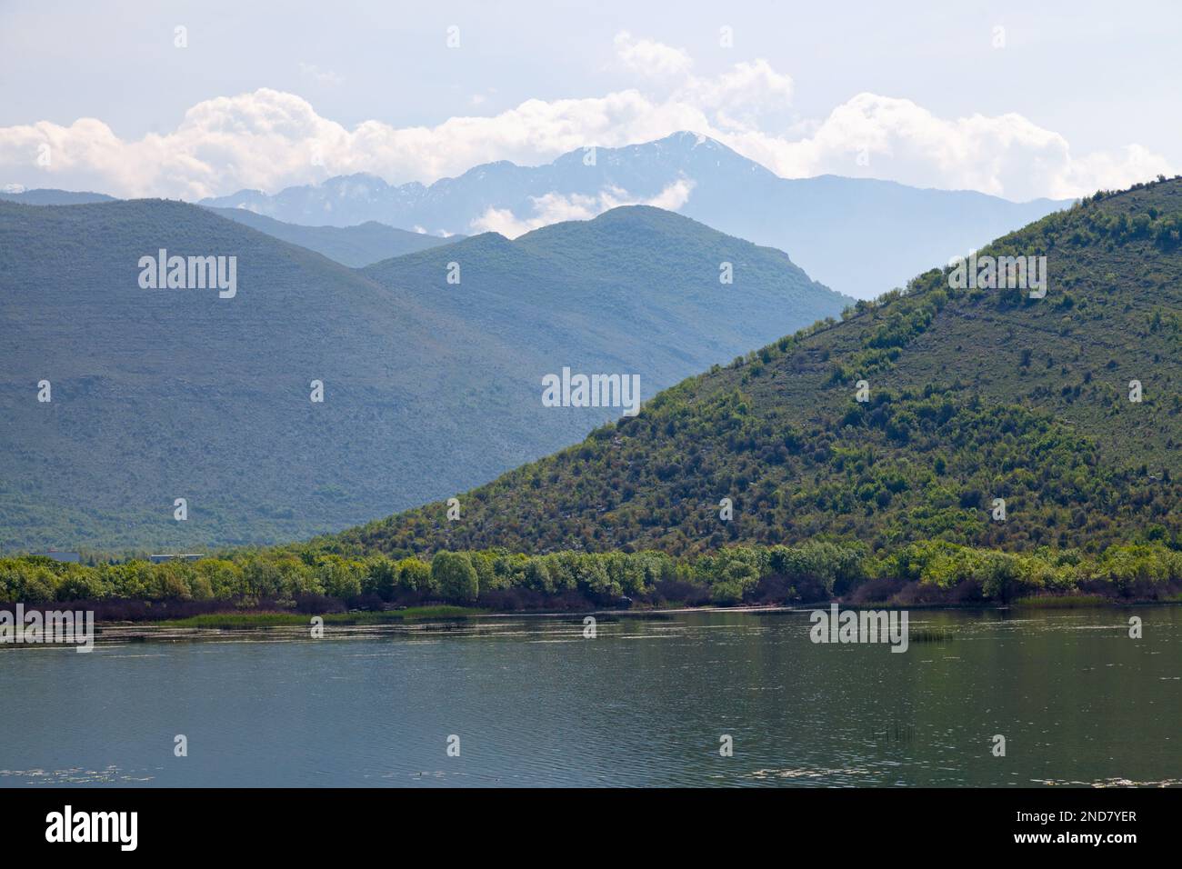 The Lake Skadar (also known as Lake Scutari, Lake Shkodër and Lake Shkodra) at the border between Montenegro and Albania is a karst lake near the Prok Stock Photo