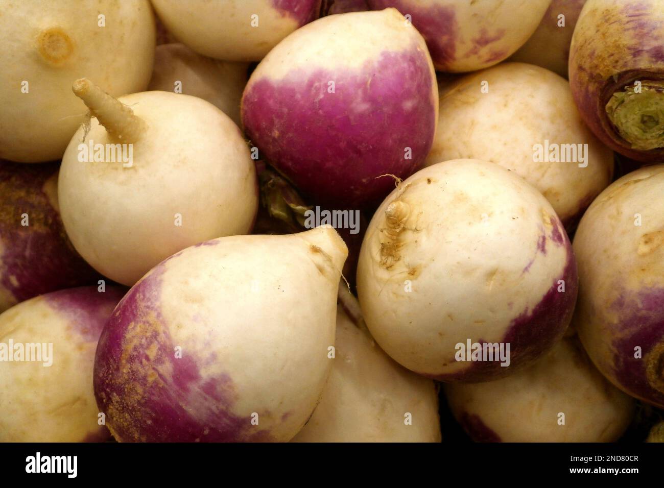 Closeup on a stack of turnips for sale on a market stall Stock Photo