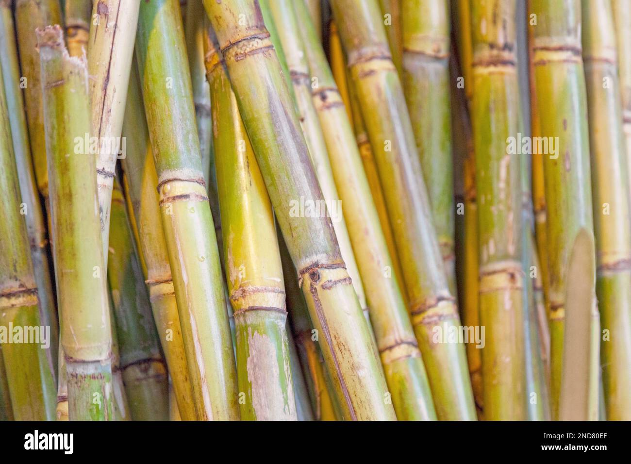 Close-up on a stack of sugarcane for sale on a market stall. Stock Photo