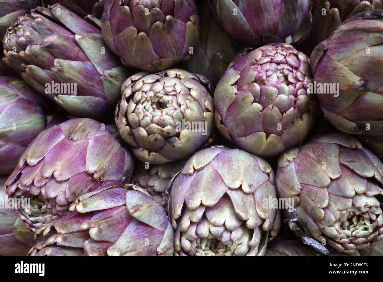 Closeup on a stack of artichokes for sale on a market stall Stock Photo Alamy