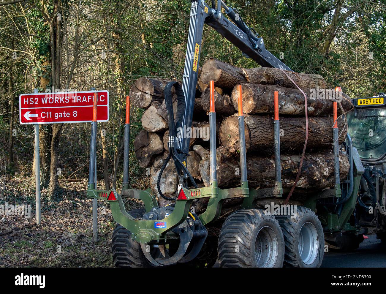 West Hyde, Hertfordshire, UK. 15th February, 2023. A tractor pulls a huge trailer of felled trees past the HS2 Denham compound. There were long queues today on the A412 London Oribtal Road in Denham and West Hyde due to HS2 traffic lights outside their Denham compound off the A412. A Police car with blue flashing lights was delayed and many motorists decided to turn around and go back towards Maple Cross as the queues were so long heading into Denham. HS2 contractor lorries that use the A412 were also stuck in the traffic jams. Credit: Maureen McLean/Alamy Live News Stock Photo