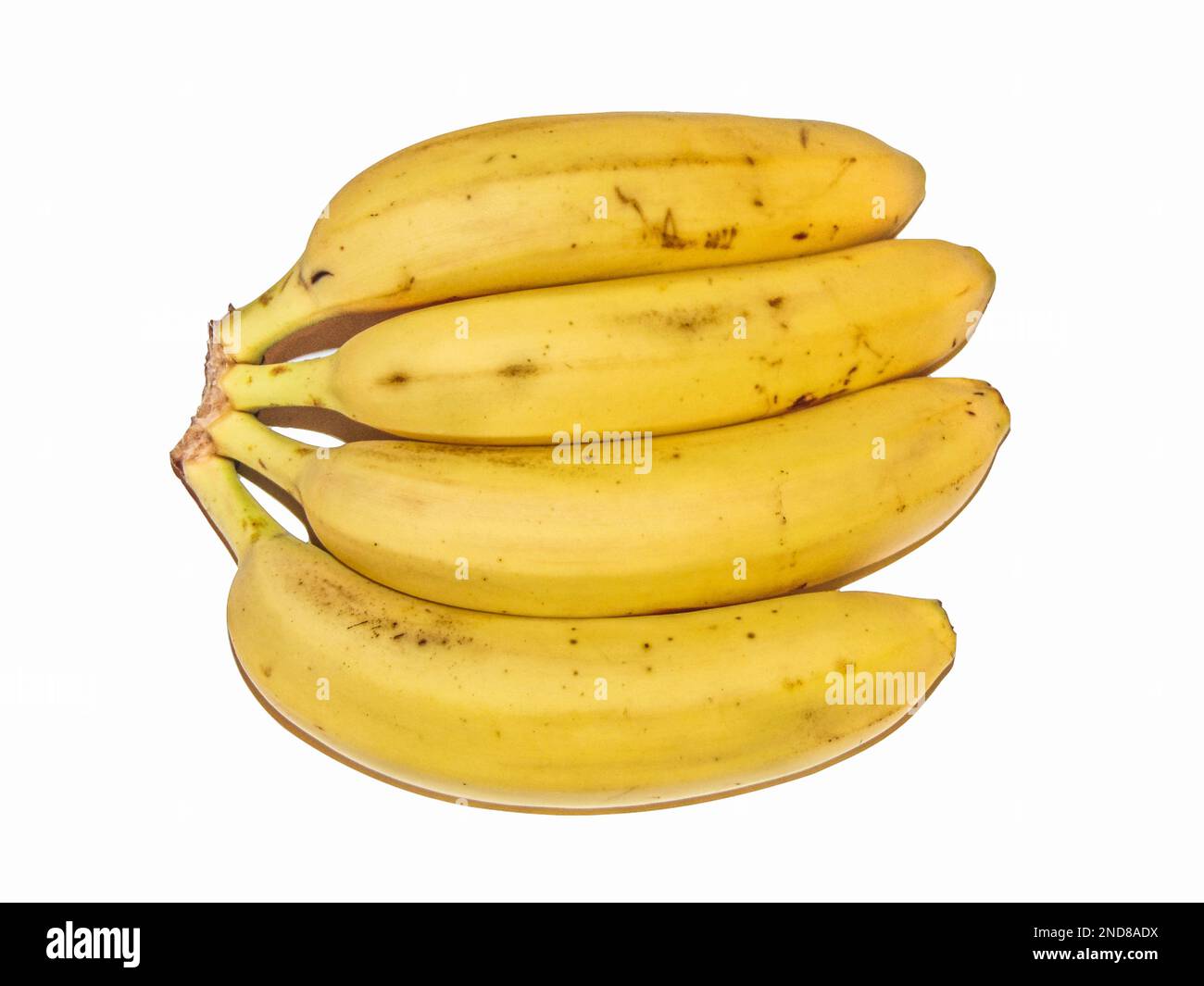 group of bananas isolated on white background Stock Photo Alamy