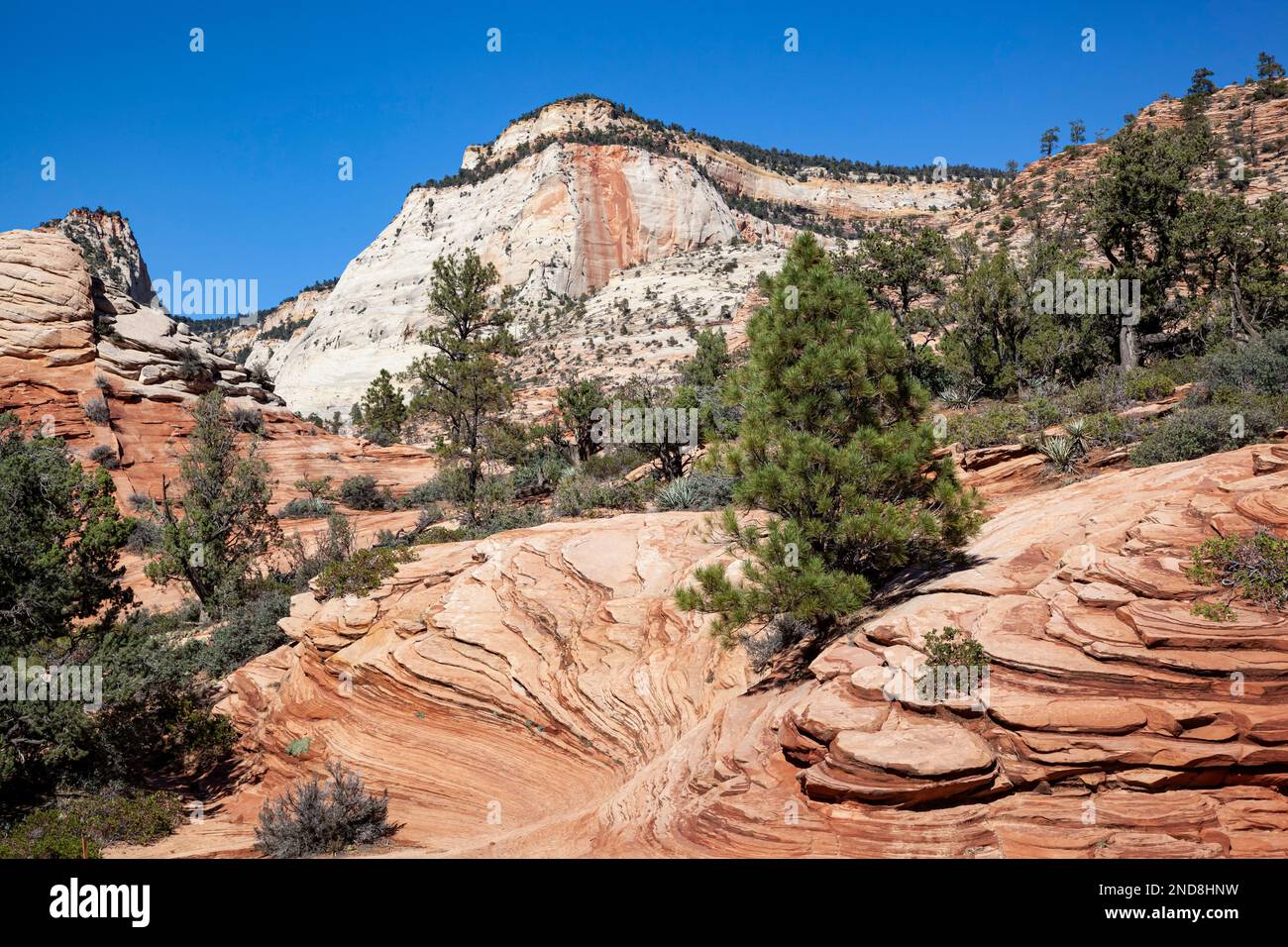 Breathtaking shot around Zion National Park,Utah, USA Stock Photo Alamy