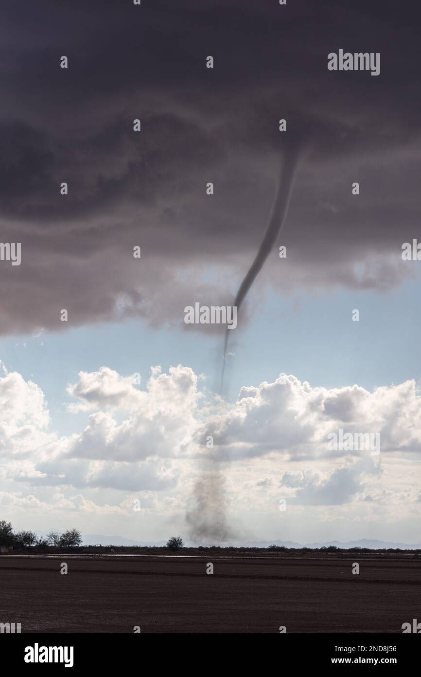 Landspout tornado with storm clouds near Sun Lakes, Arizona Stock Photo