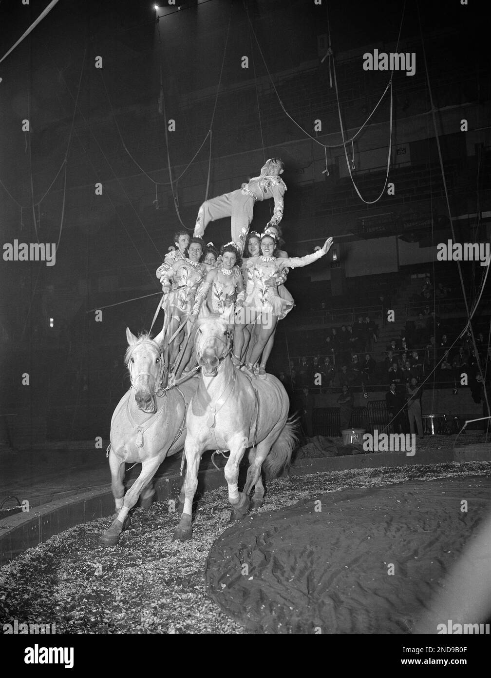 One Of The Ringling Bros And Barnum And Bailey Circus Acts To Go one-of-the-ringling-bros-and-barnum-and-bailey-circus-acts-to-go