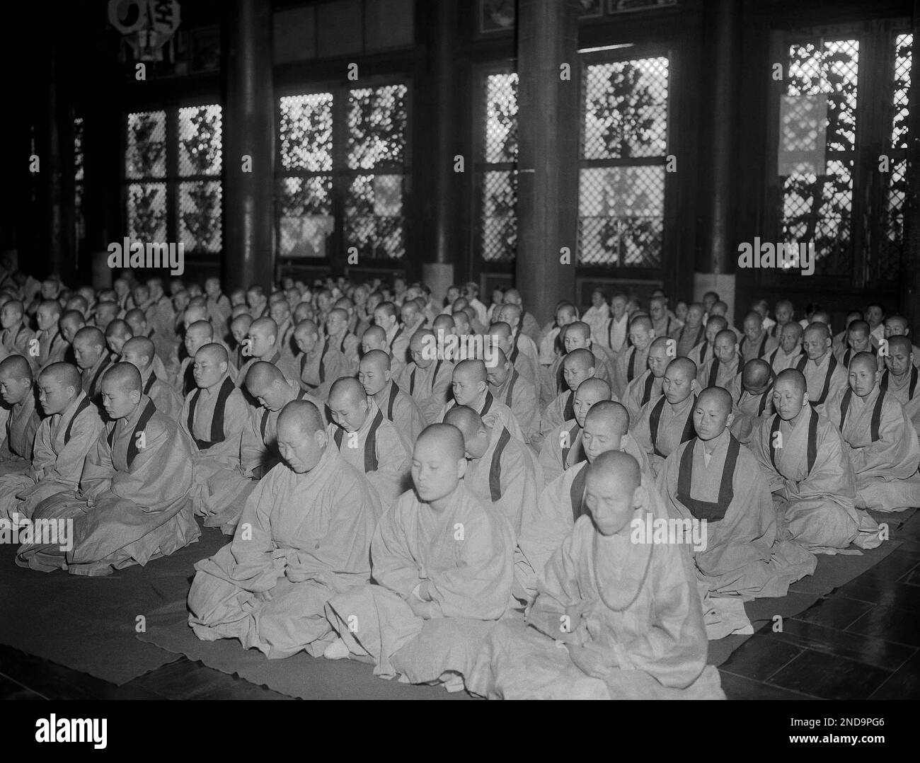 Unmarried Buddhist monks and nuns, known as "bikkhus" praying in one of