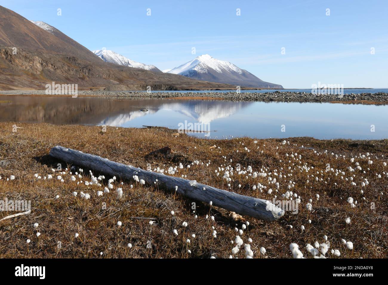Travelling in the North Polar region, Arctic, Crocker Bay, Dundas