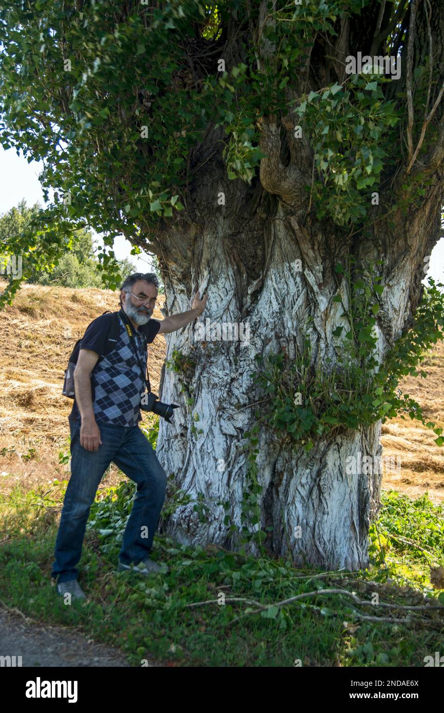 The photographer rests by a big tree. After a long walk, he stopped by a large Canadian poplar tree. Stock Photo