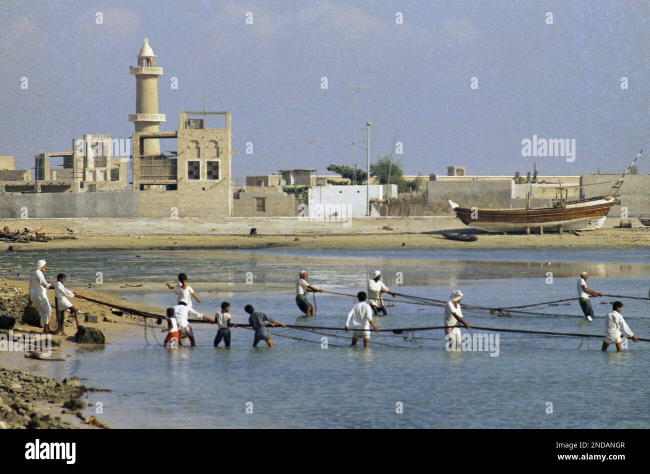 Fishing In Rak Fishing nets are hauled in at the old port of Ras Al Khaimah in the ...