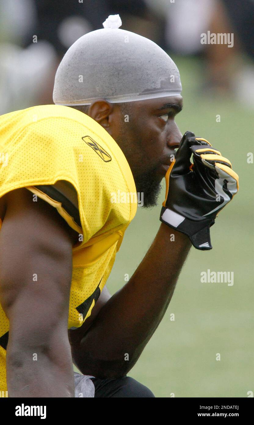 Pittsburgh Steelers cornerback Bryant McFadden during the NFL football
