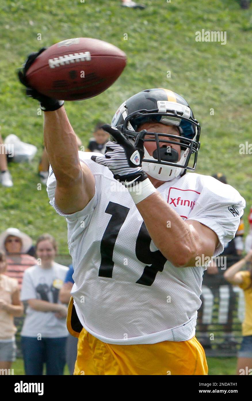 Pittsburgh Steelers wide receiver Anthony Johnson (83) celebrates scoring a  touchdown with wide receiver Tyler Simmons (82) during the Pro Football Ha  Stock Photo - Alamy