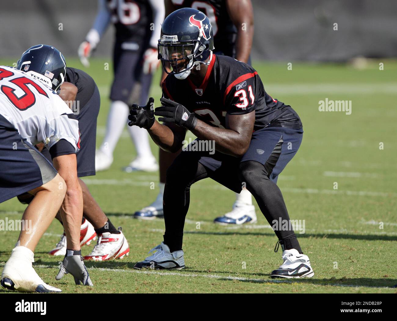 Houston Texans safety Bernard Pollard (31) during a NFL football