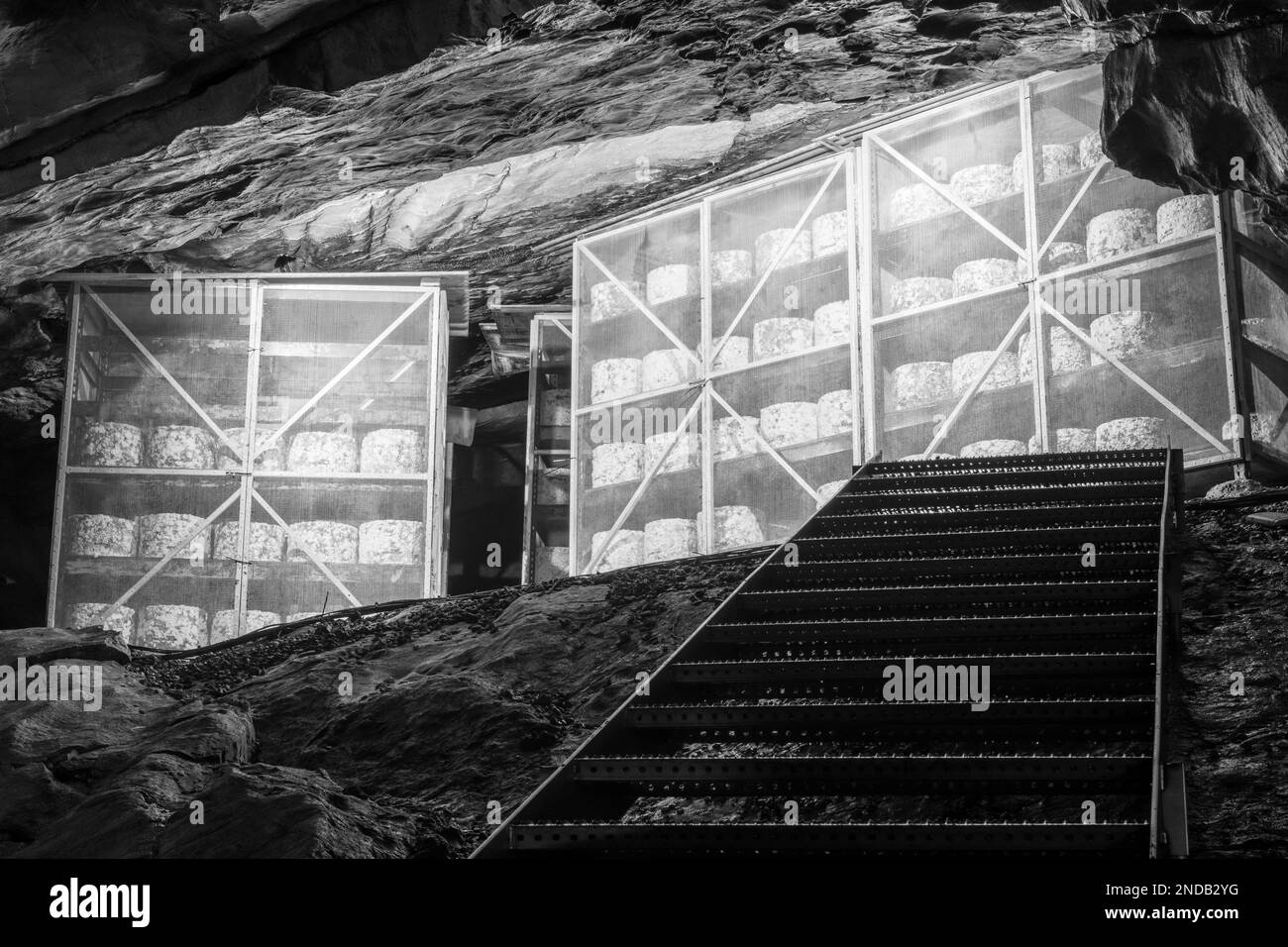 Cheddar cheese maturing in Goughs Cave in Cheddar in Somerset Stock