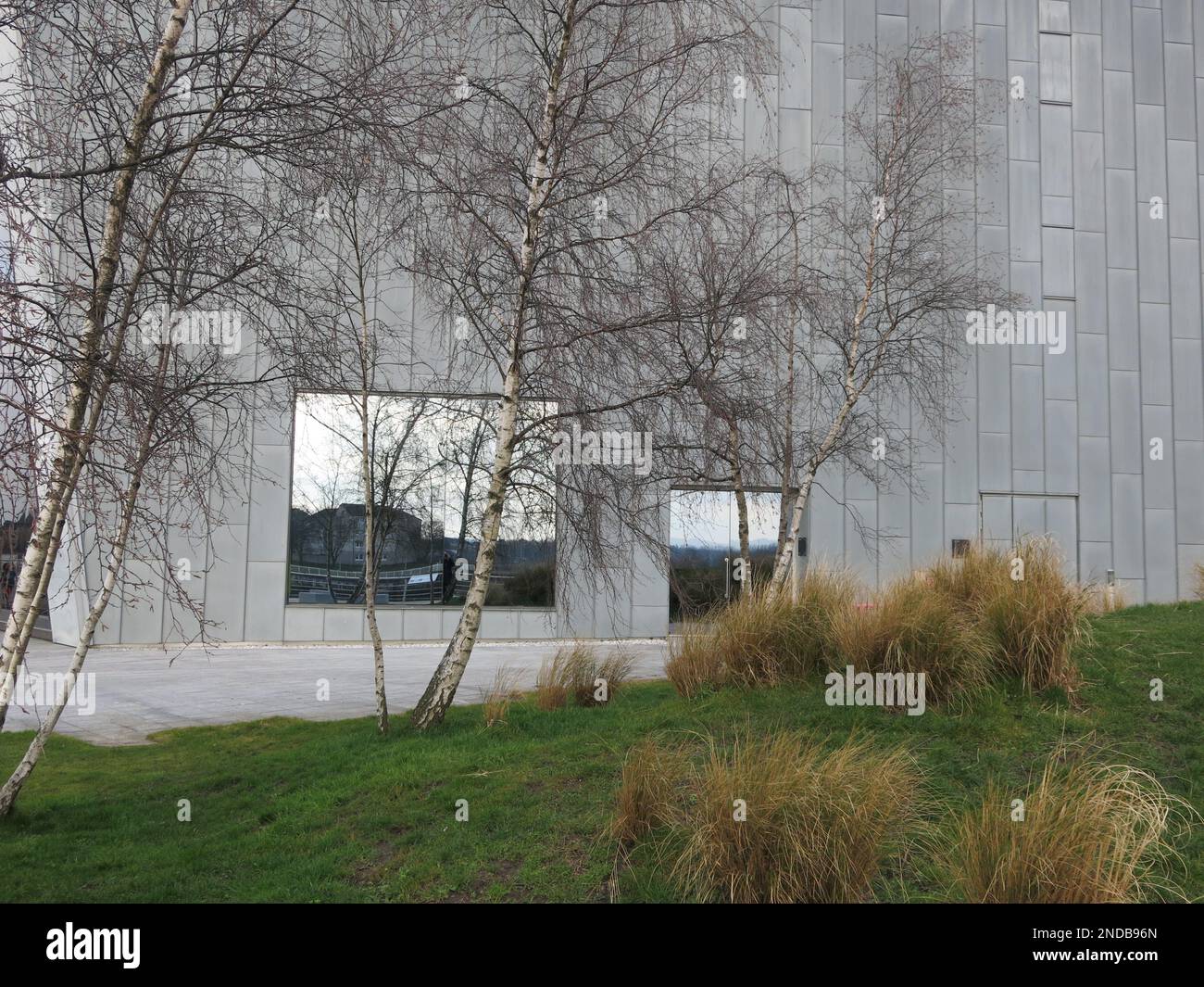 Tall trees and grasses growing in front of the large reflective window ...