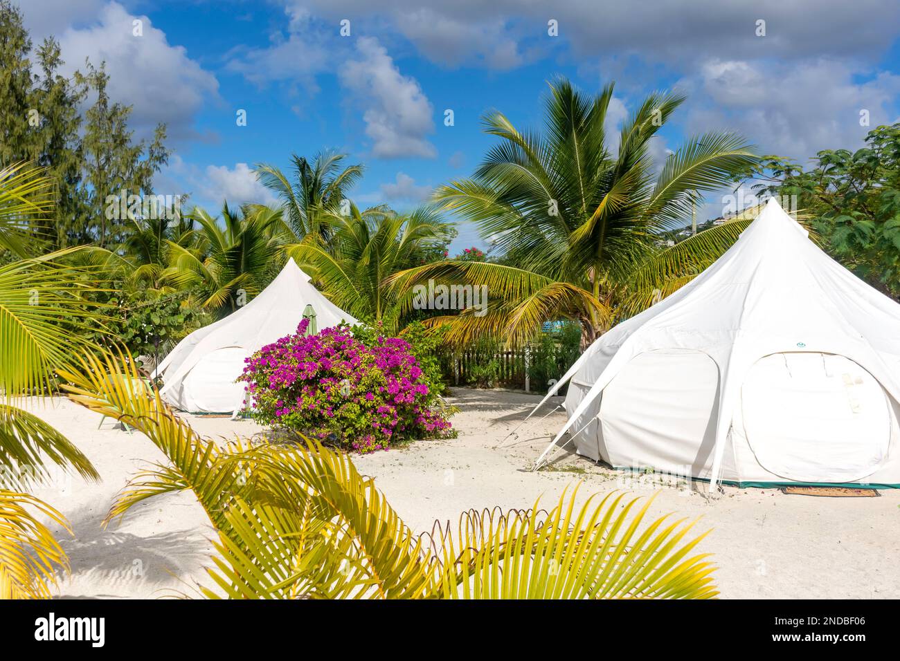 Wild Lotus Camp, Valley Church Beach, St Marys, Antigua, Antigua and Barbuda, Lesser Antilles, Caribbean Stock Photo