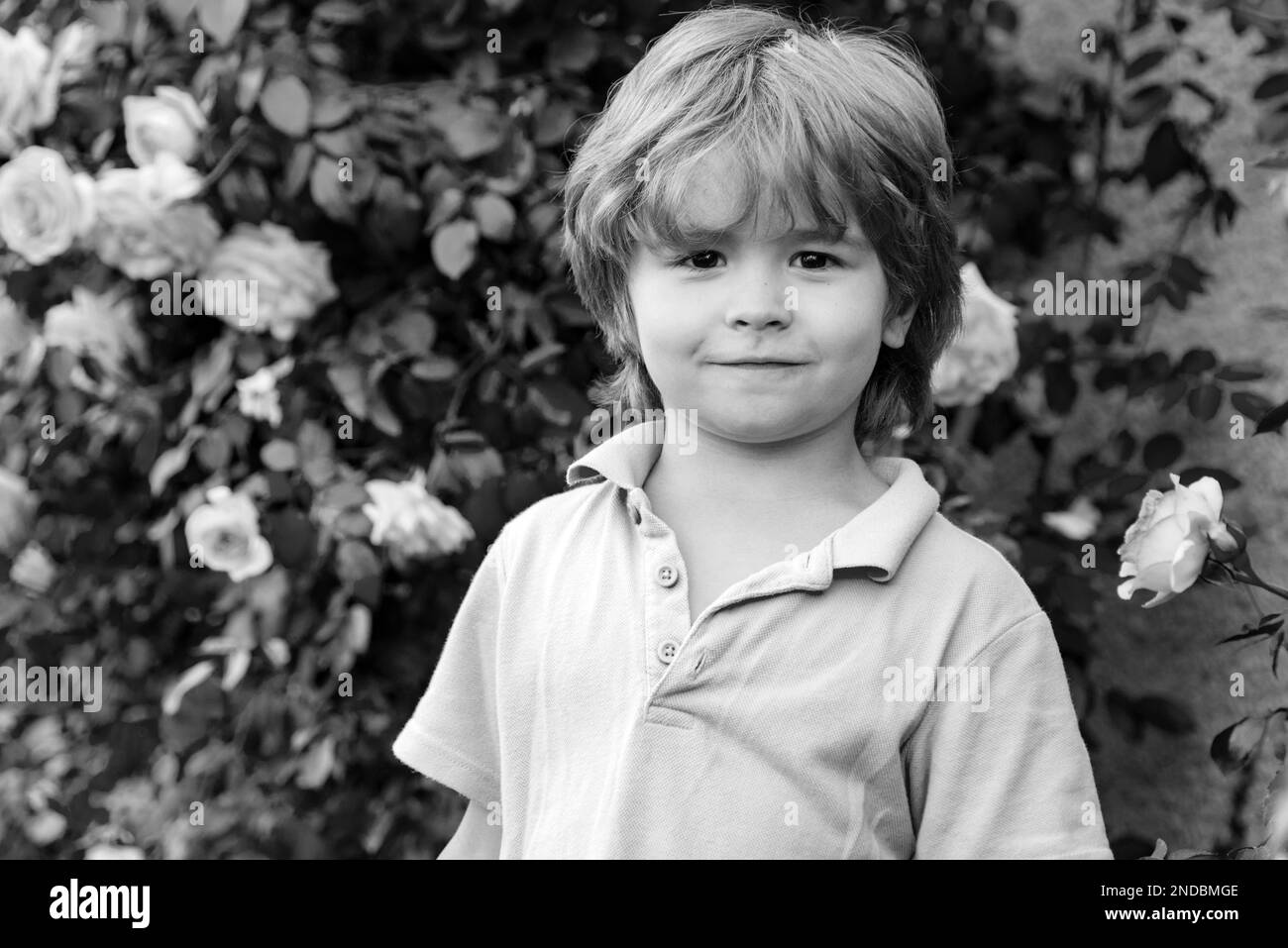 Child in rose garden outdoor. Spring kid in park. Summer boy walk