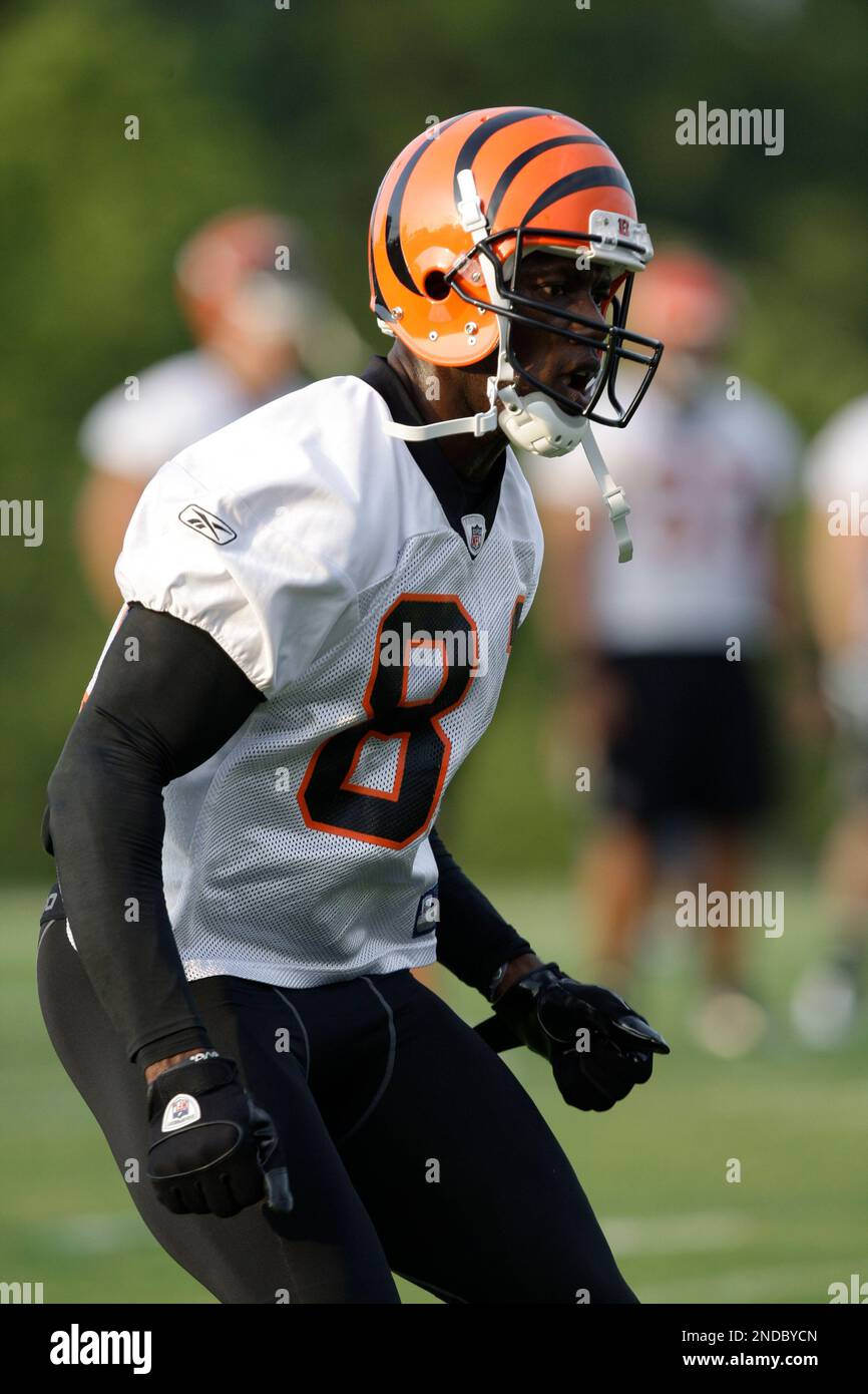 Cincinnati Bengals wide receiver Terrell Owens (81) in action during  football training camp during the NFL football team's practice, Thursday,  July 29, 2010, in Georgetown, Kentucky. (AP Photo/Al Behrman Stock Photo -  Alamy