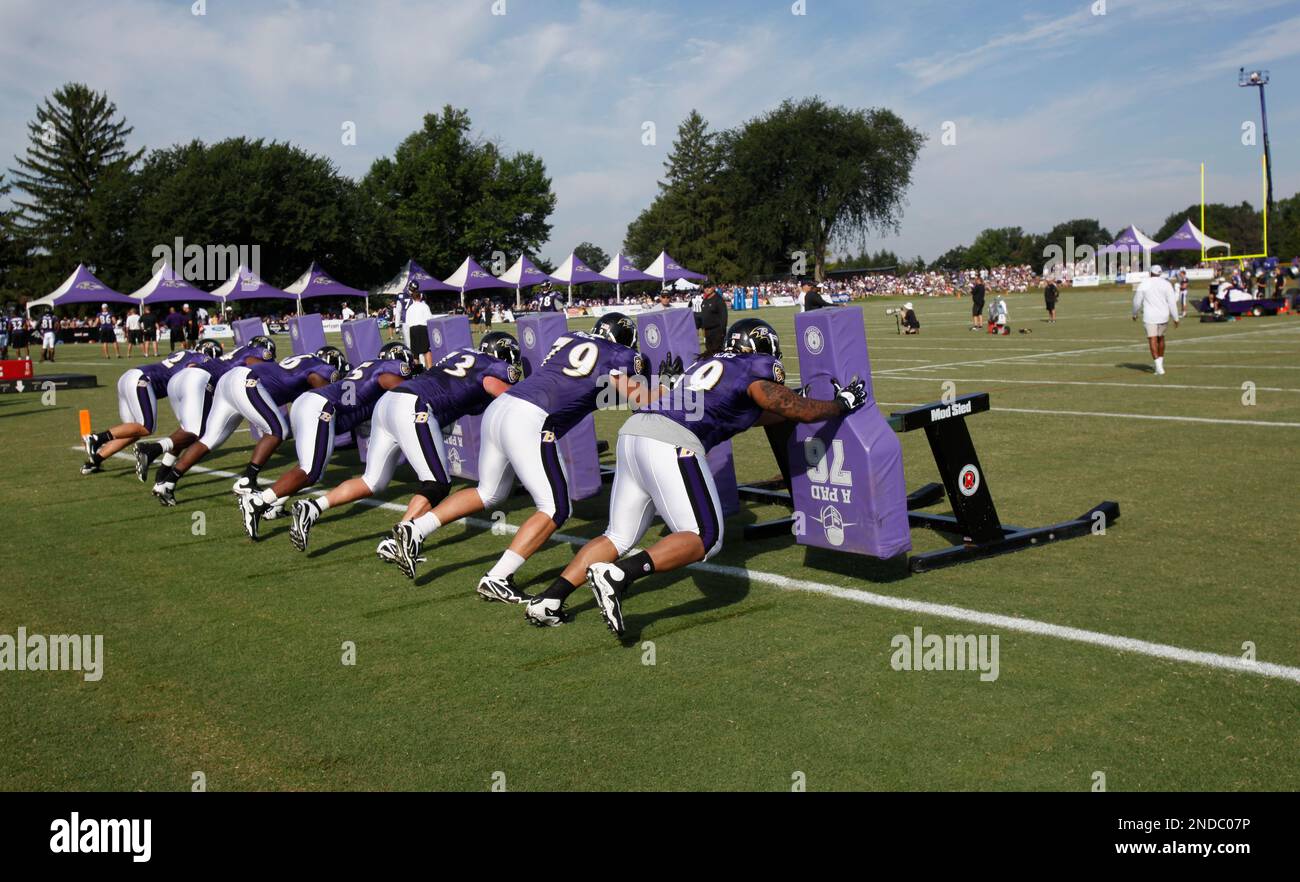 30 July 2010: Baltimore Ravens defensive tackle Kelly Gregg (97) in action  during Ravens training camp at McDaniel College in Westminster,  MDMandatory Credit: Russell Tracy / Southcreek Global. (Credit Image: ©  Russell