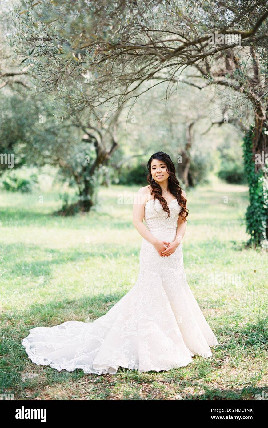 Bride in a white mermaid dress stands near a tree in an olive grove ...