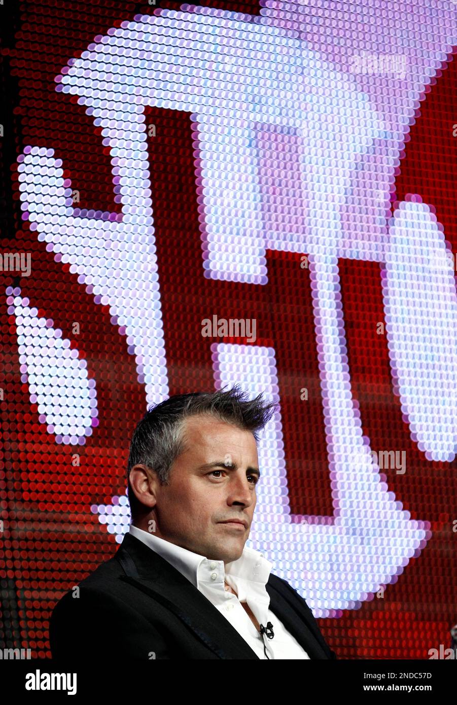 Actor Matt LeBlanc, from "Episodes", participates in a panel discussion at  the CBS, Showtime and The CW Television Critics Association summer press  tour in Beverly Hills, Calif., Thursday, July 29, 2010. (AP