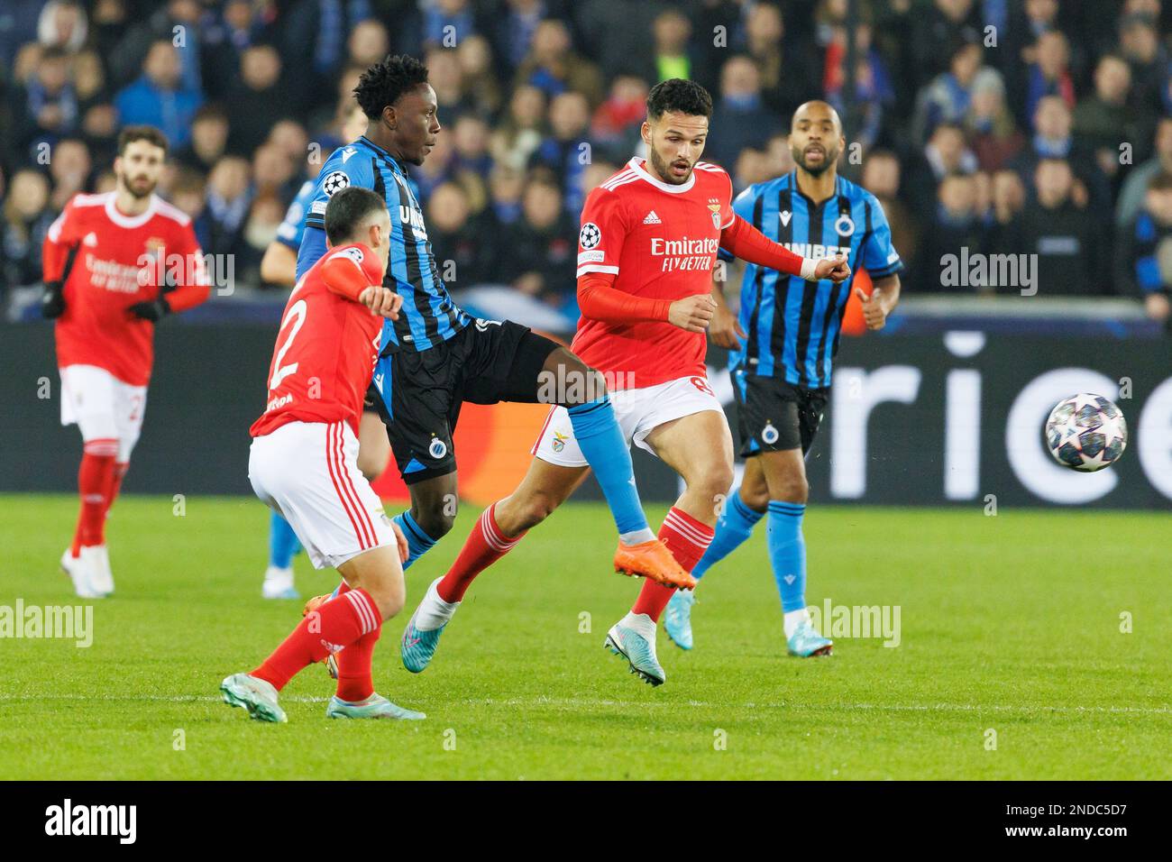 Club's Kamal Sowah and Benfica's Goncalo Ramos fight for the ball during a soccer game between Belgian Club Brugge KV and Portuguese Sport Lisboa e Benfica, Wednesday 15 February 2023 in Brugge, the first leg of the round of 16 of the UEFA Champions League competition. BELGA PHOTO KURT DESPLENTER Stock Photo