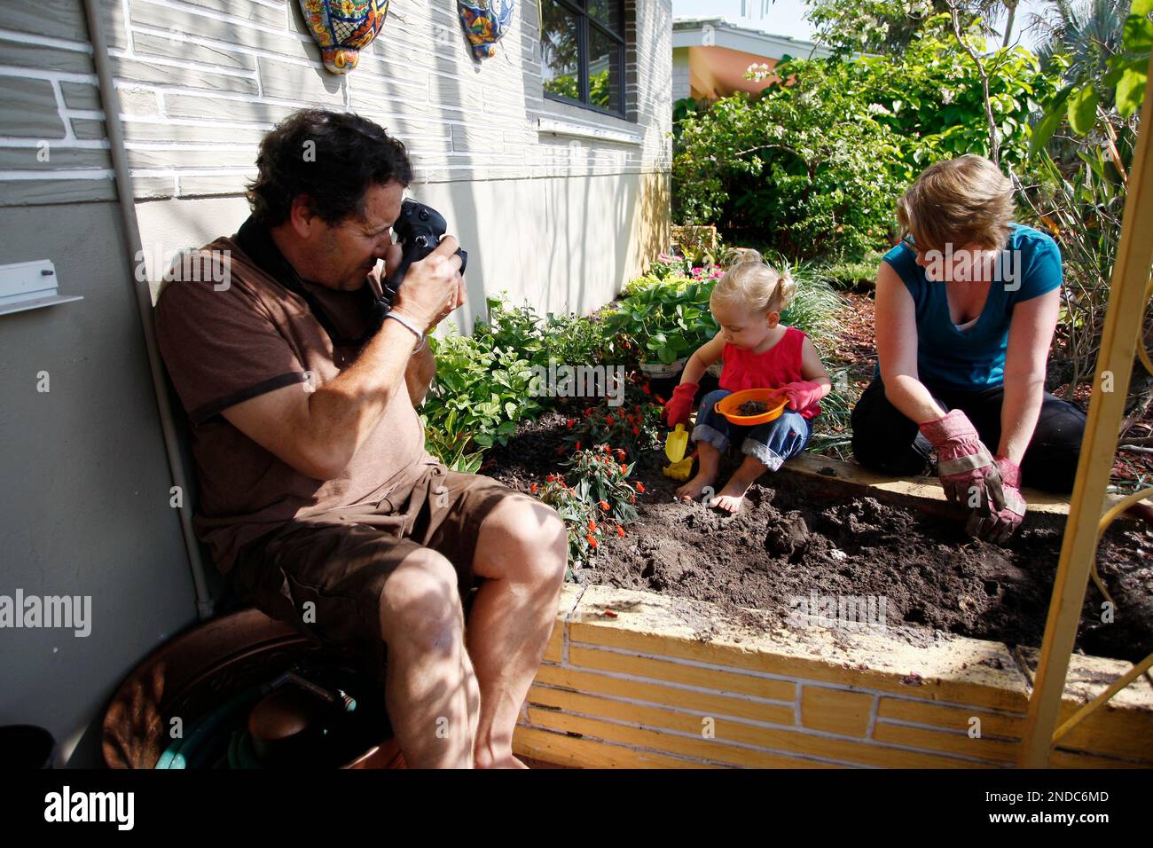 Joe Cavaretta, left, takes photos of his daughter, Sophia Cavaretta, 2, and  his wife Amy Beth Bennett as they plant strawberries at their Oakland Park,  Fla. home Thursday, April 22, 2010. Out