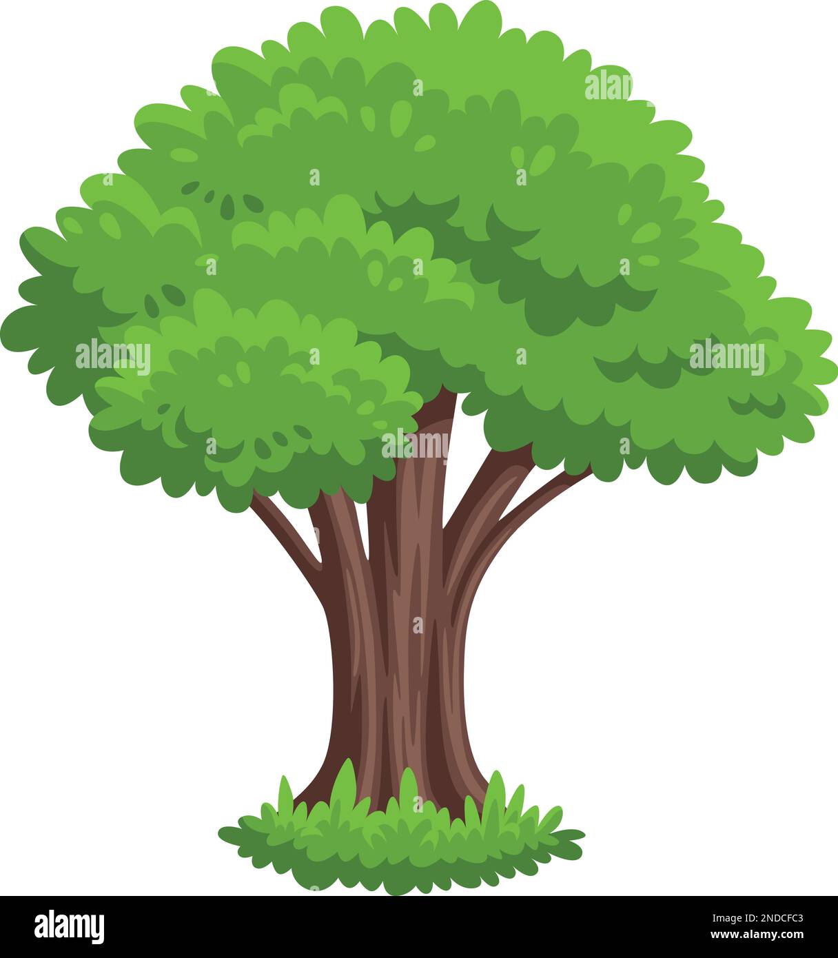 Plant and tree model Stock Vector Images - Alamy