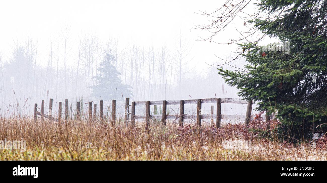 Misty day, old fence in a field with dry grasses.  Room for words. Stock Photo
