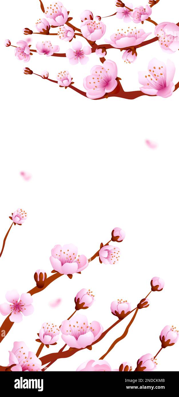Flying pink petals and sakura branches. Vertical banner backround Stock
