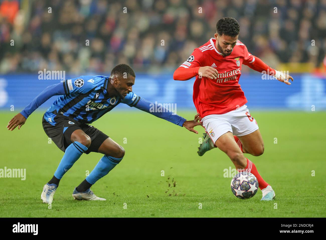 Club's Clinton Mata and Benfica's Goncalo Ramos fight for the ball during a soccer game between Belgian Club Brugge KV and Portuguese Sport Lisboa e Benfica, Wednesday 15 February 2023 in Brugge, the first leg of the round of 16 of the UEFA Champions League competition. BELGA PHOTO BRUNO FAHY Stock Photo