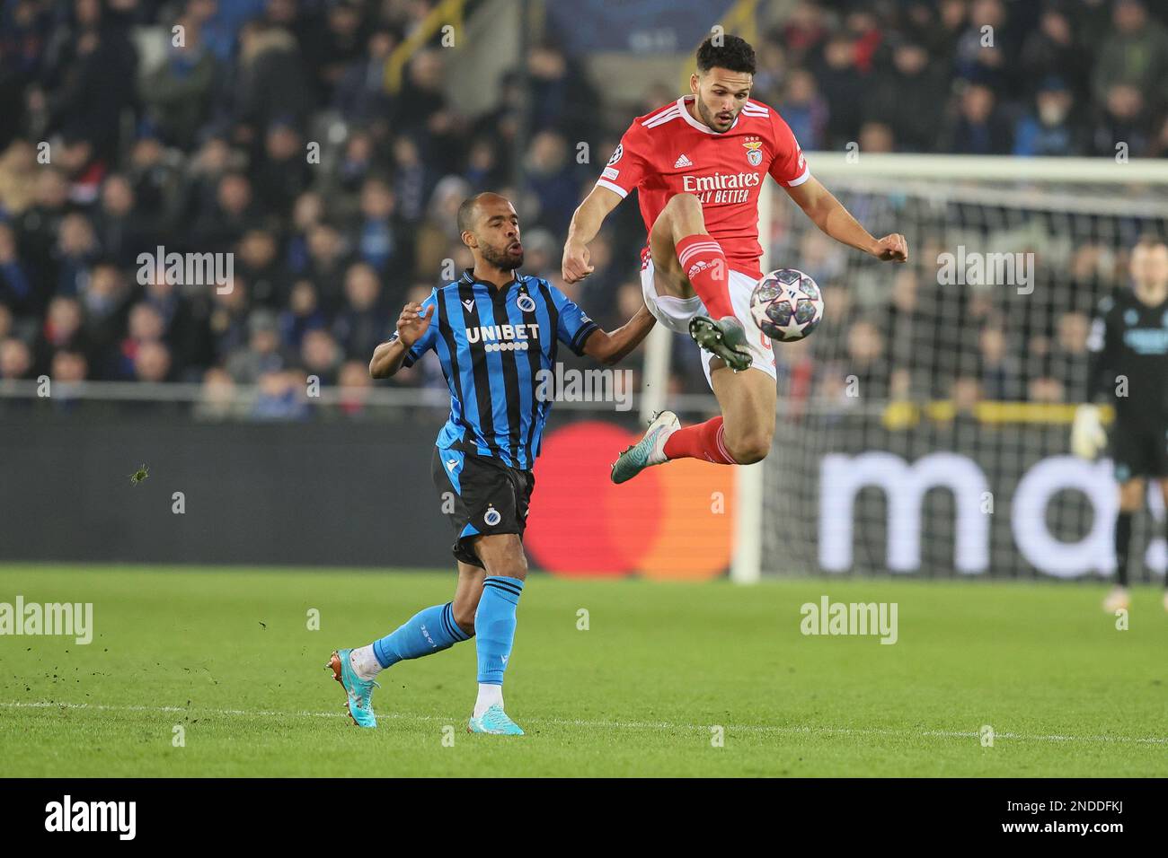 Club's Denis Odoi and Benfica's Goncalo Ramos fight for the ball during a soccer game between Belgian Club Brugge KV and Portuguese Sport Lisboa e Benfica, Wednesday 15 February 2023 in Brugge, the first leg of the round of 16 of the UEFA Champions League competition. BELGA PHOTO BRUNO FAHY Stock Photo