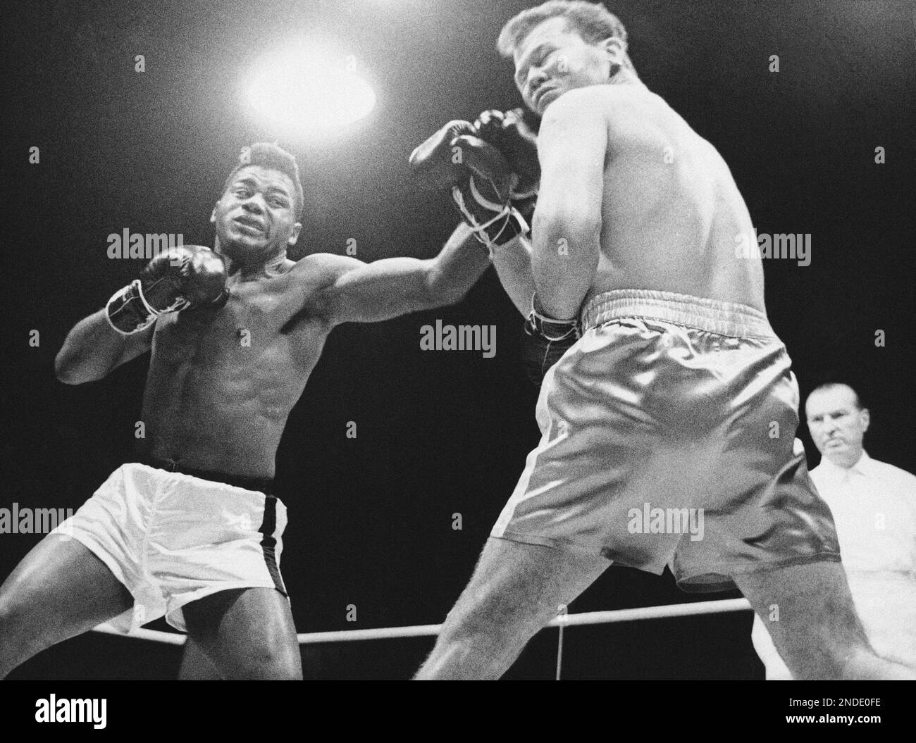 Professional sportsperson action competition aggression strength boxing