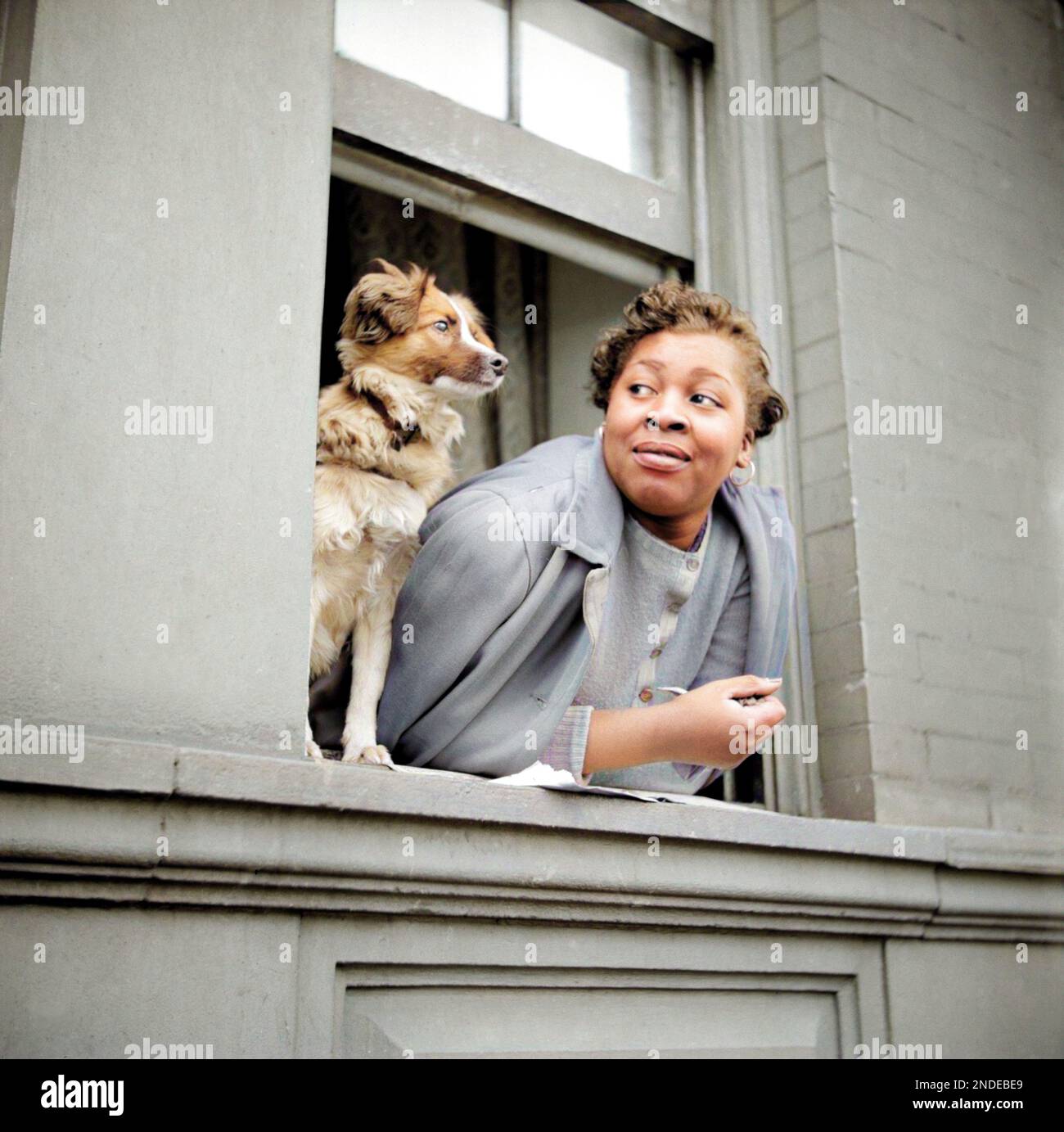 1944 , NEW YORK , NY , USA :  An Afro American woman and her dog at window in the Harlem section . Photo by celebrated American  reporter photographer GORDON PARKS ( 1912 - 2006 ) at work for the U.S. Farm Security Administration , Office of War Information . Overseas Picture Division. Washington Division . DIGITALLY COLORIZED . - HISTORY - FOTO STORICHE - ANNI QUARANTA  - 40's - '40 - STORIA DELLA FOTOGRAFIA - HISTORY OF PHOTOGRAPH - smile - sorriso - DONNA ALA FINESTRA - di COLORE - CANE - DOG - Pet animal - STREET PHOTOGRAPHY - afroamericana - Afroamericani - African Americans  - Black Amer Stock Photo