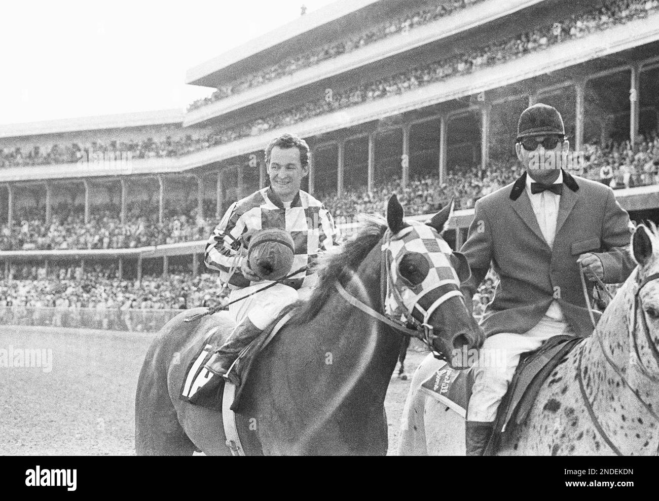 Sport smiling winning spectator horse riding sports track hires stock