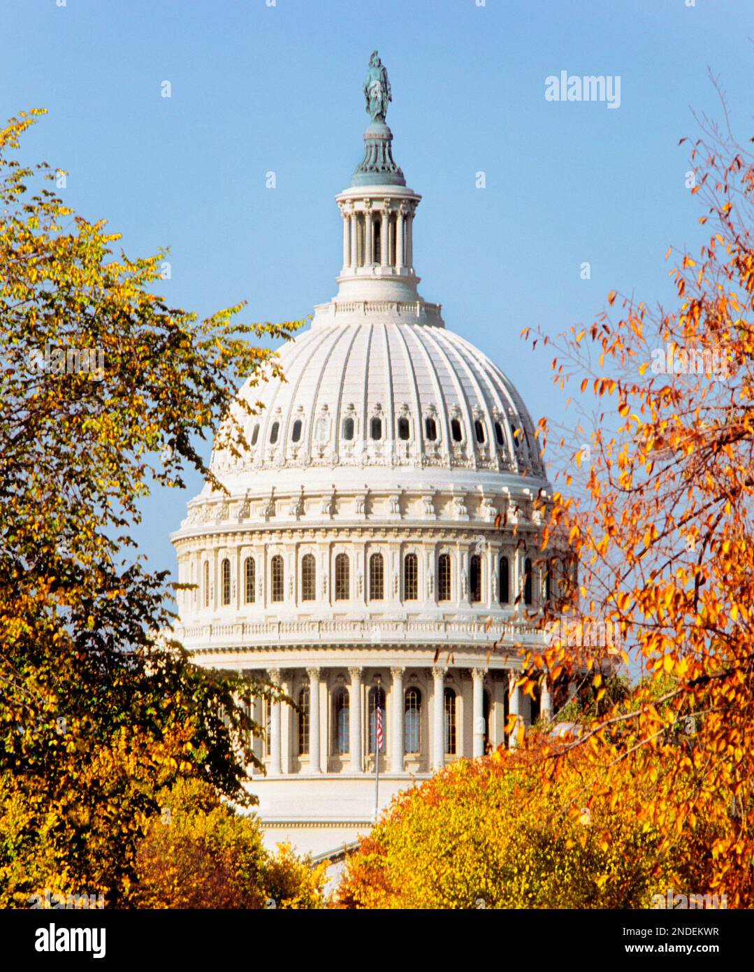 US Capitol Building rotunda Washington DC USA. Autumn foliage Stock Photo