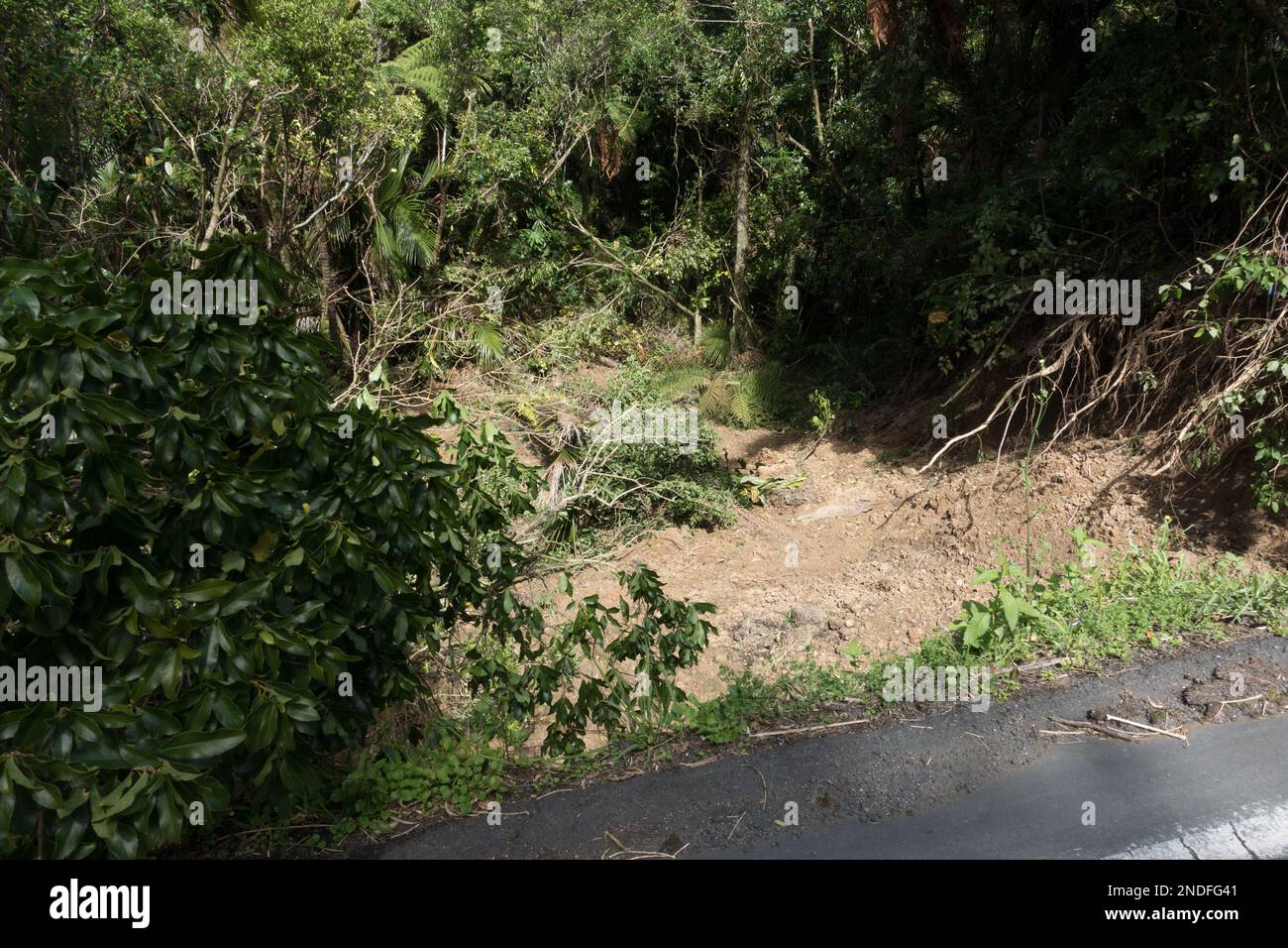 Following tropical storm Cyclone Gabrielle a land slide creating a ...