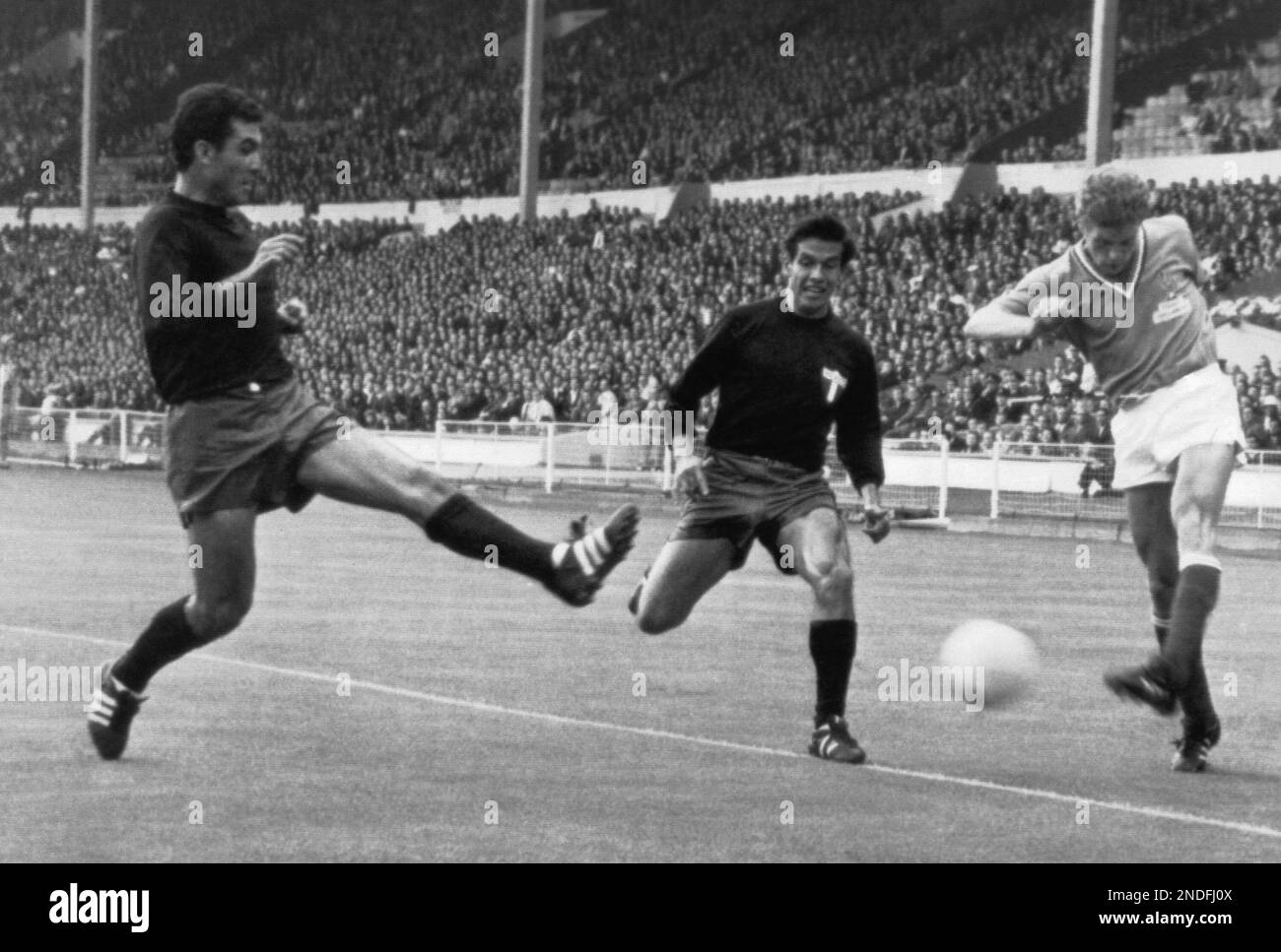 Professional sportsperson stadium action competition sport spectator on