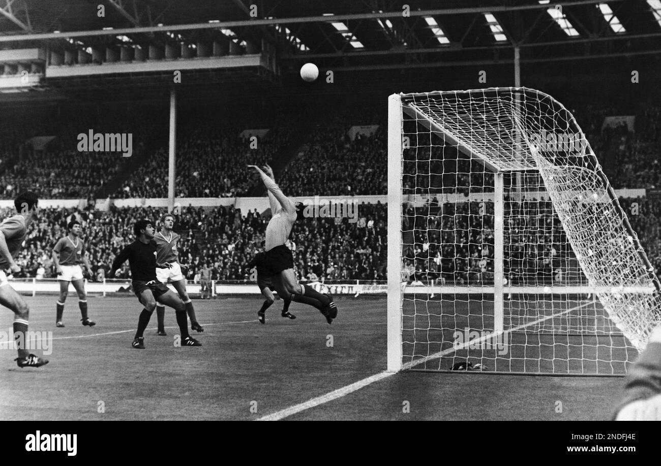 Professional sportsperson sport competition action stadium net mid air