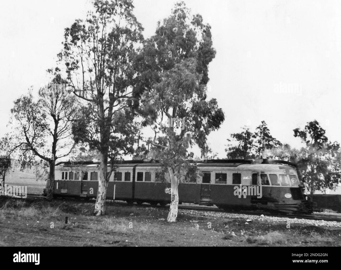 A forward observation post held by the Germans in Tunisia near Bou