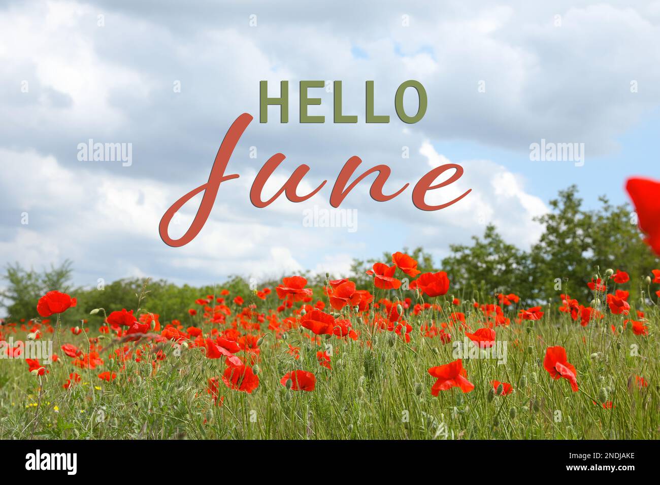 Hello june beautiful red hi-res stock photography and images - Alamy