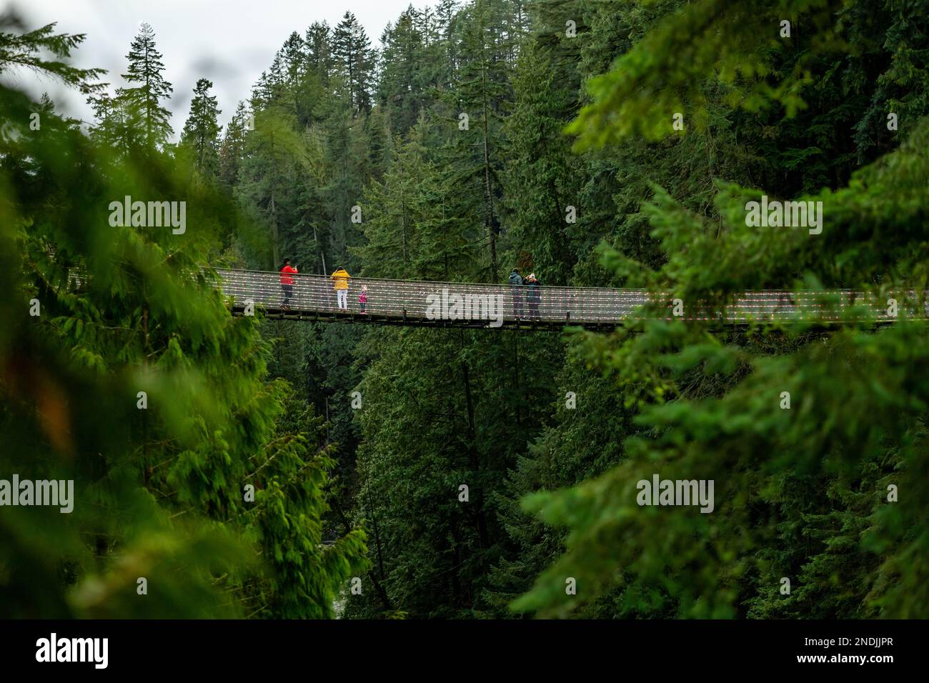 Tourists crossing the large suspension bridge at Capilano Suspension Bridge Park. Stock Photo