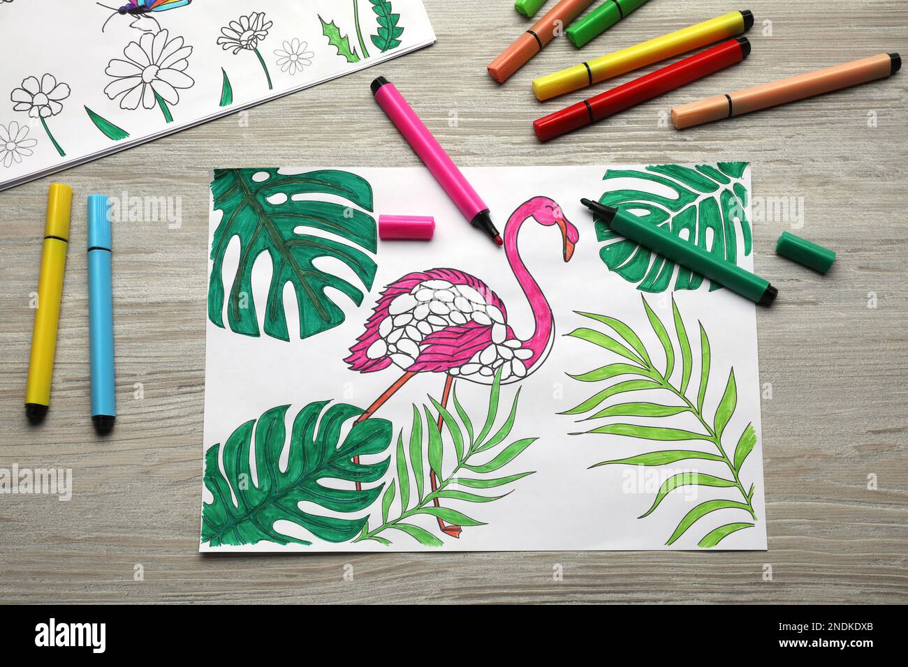 Bird coloring pages cute hi-res stock photography and images - Alamy