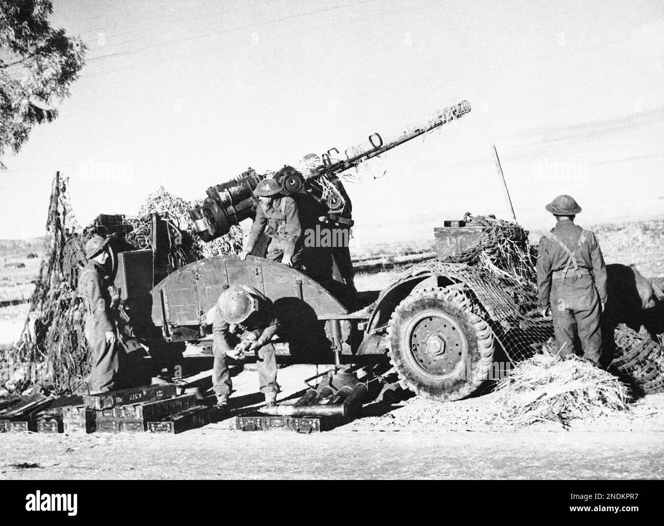 Artillery soldiers of the British first army in Tunisia, Jan. 6, 1943