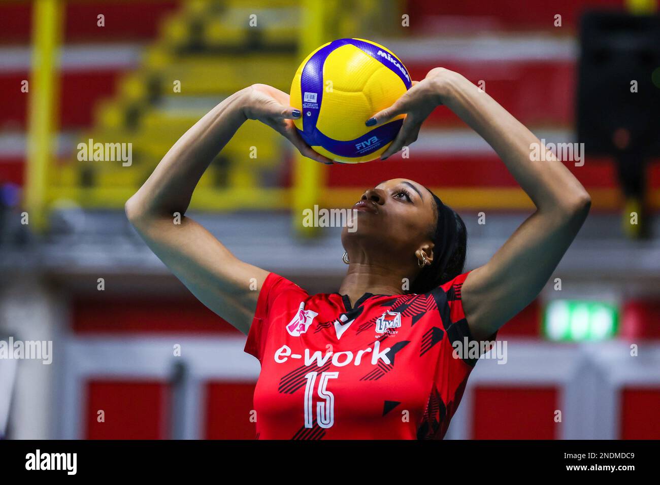 volleyball cev cup live stream