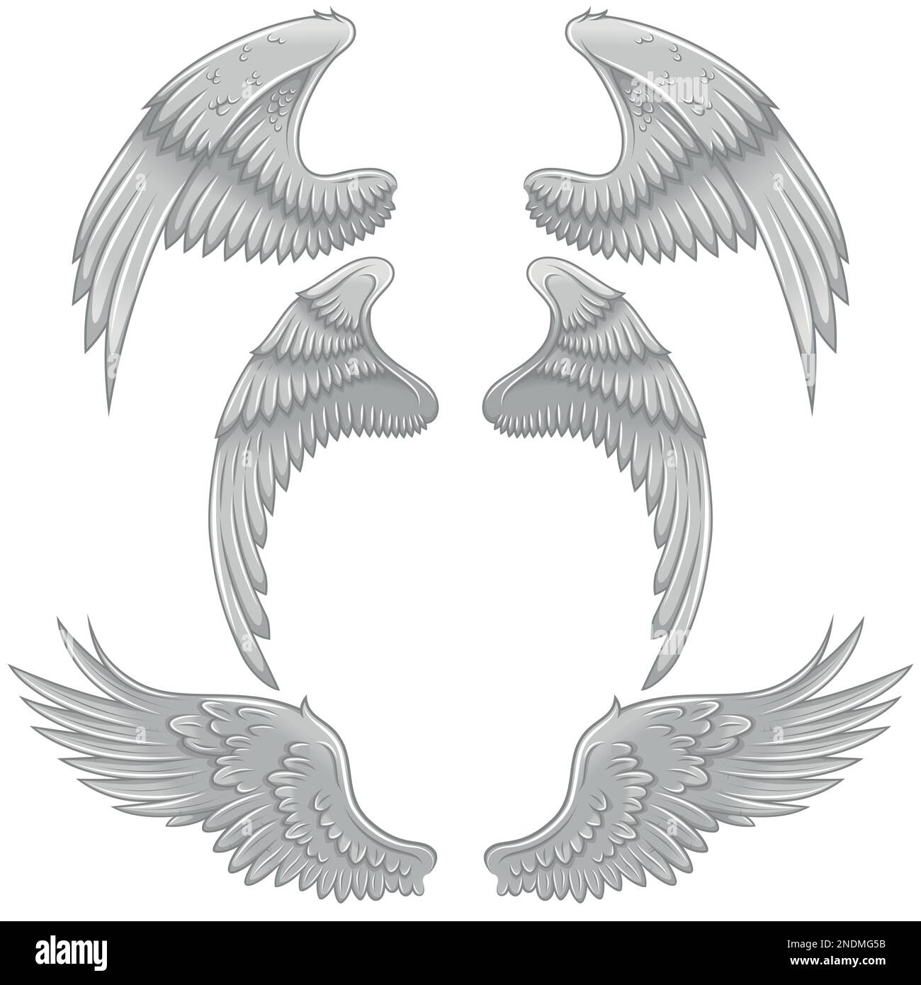 Angel wings feathers hi-res stock photography and images - Alamy, image size:1300x1390
