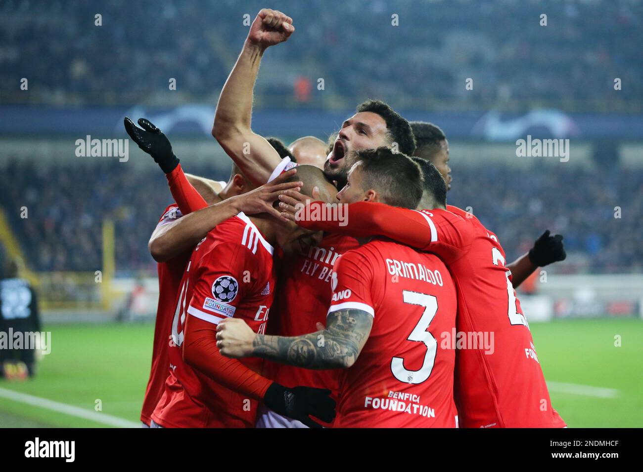 Champions League: Club Brugge vs Benfica