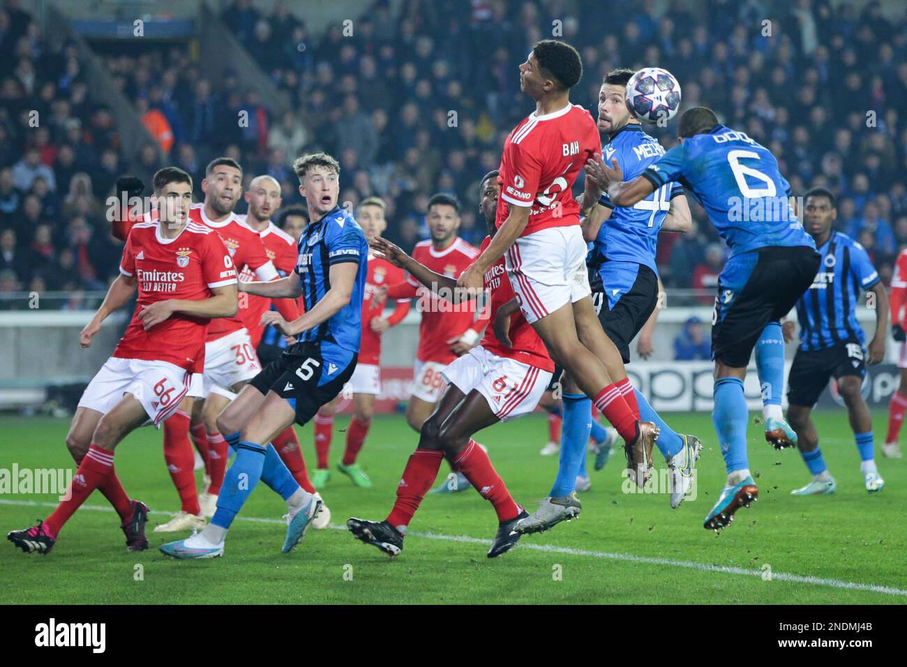 Jan breydel stadium 2023 hires stock photography and images Alamy